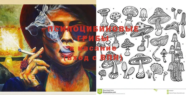 не бодяженный Заводоуковск