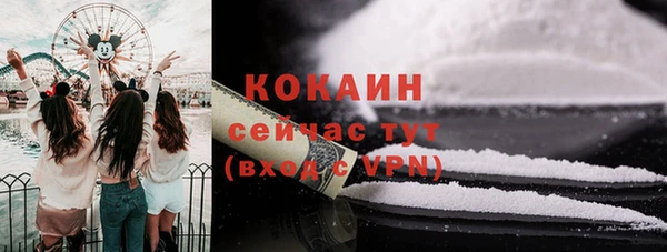 не бодяженный Заводоуковск