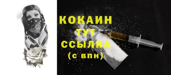 не бодяженный Заводоуковск