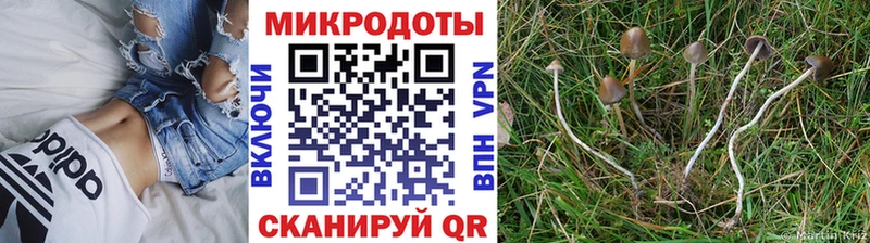 Галлюциногенные грибы прущие грибы  Купить закладки  Беломорск 